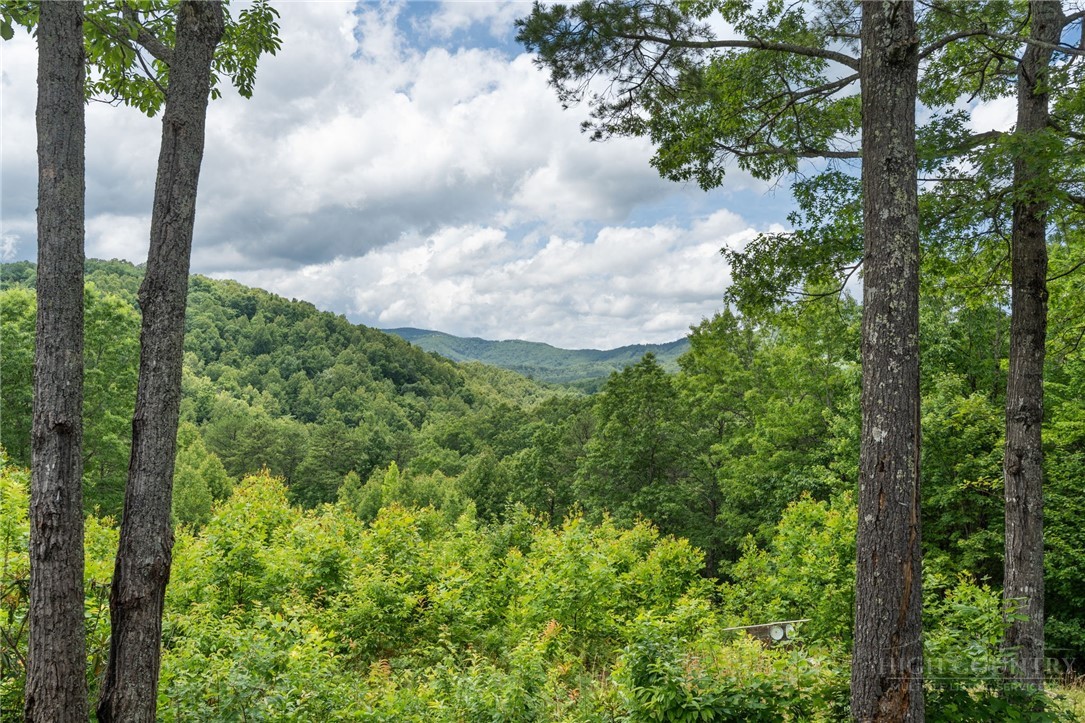 6720 Sampson Road Lenoir, NC 28645 - Photo 6 of 47