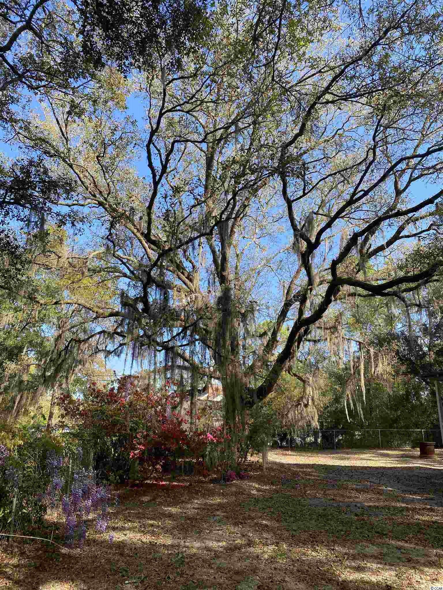 2218 Old Charleston Road Georgetown, SC 29440 - Photo 35 of 40 Gallery Image 35