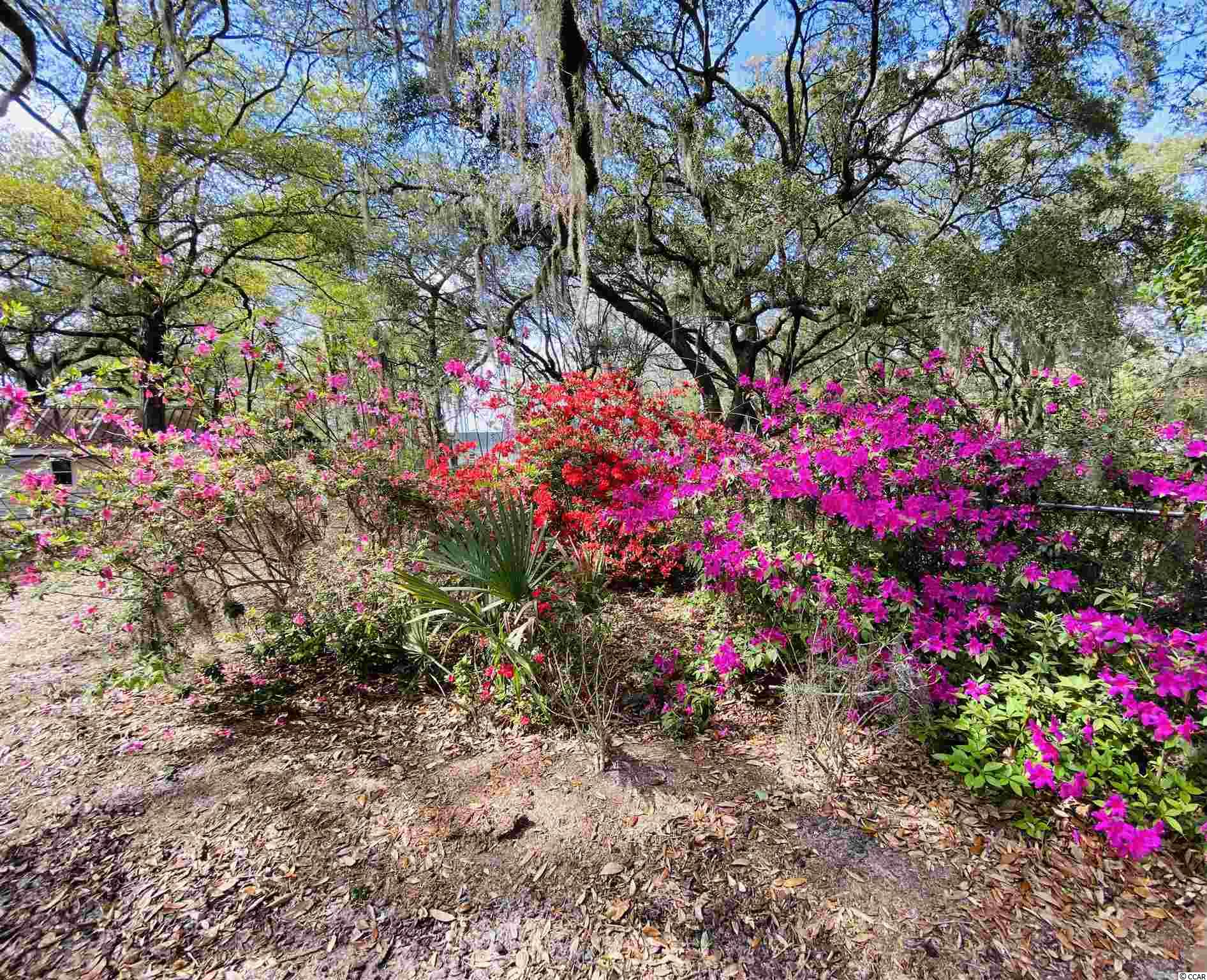 2218 Old Charleston Road Georgetown, SC 29440 - Photo 36 of 40 Gallery Image 36