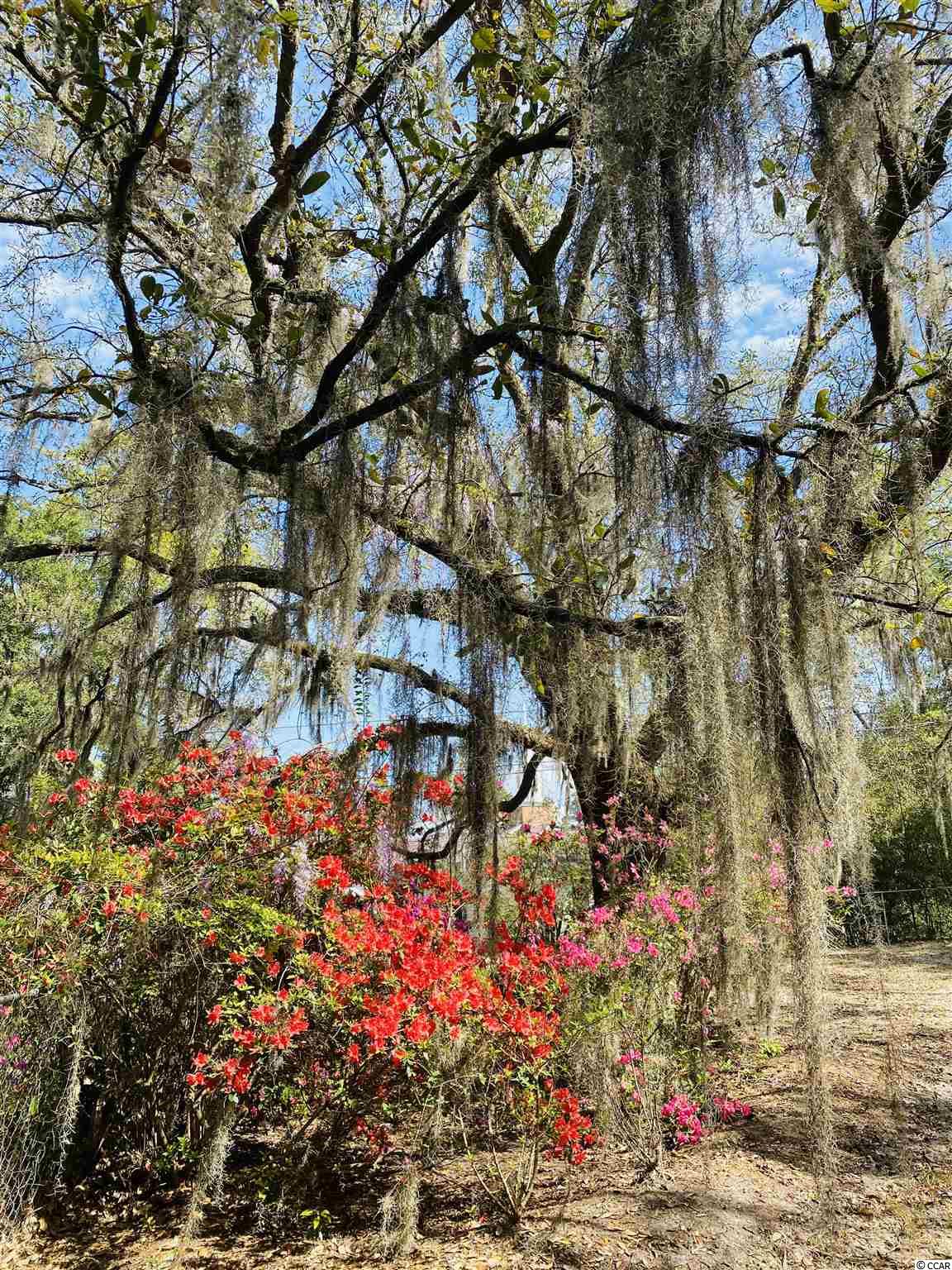 2218 Old Charleston Road Georgetown, SC 29440 - Photo 38 of 40 Gallery Image 38