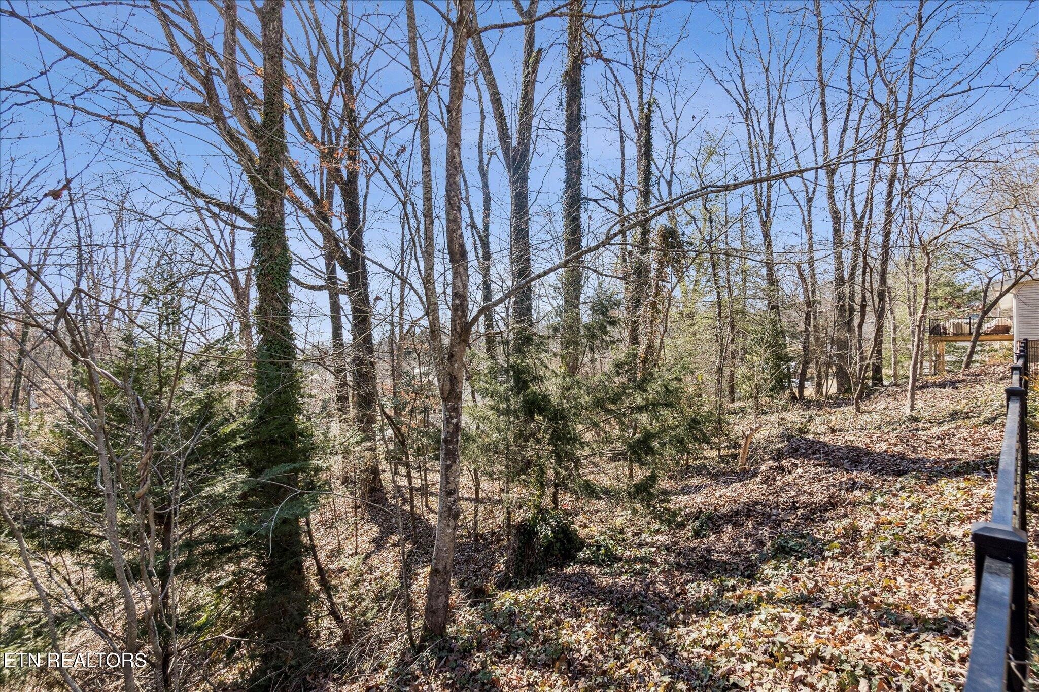 109 Ditman Lane Oak Ridge, TN 37830 - Photo 35 of 37 Gallery Image 35