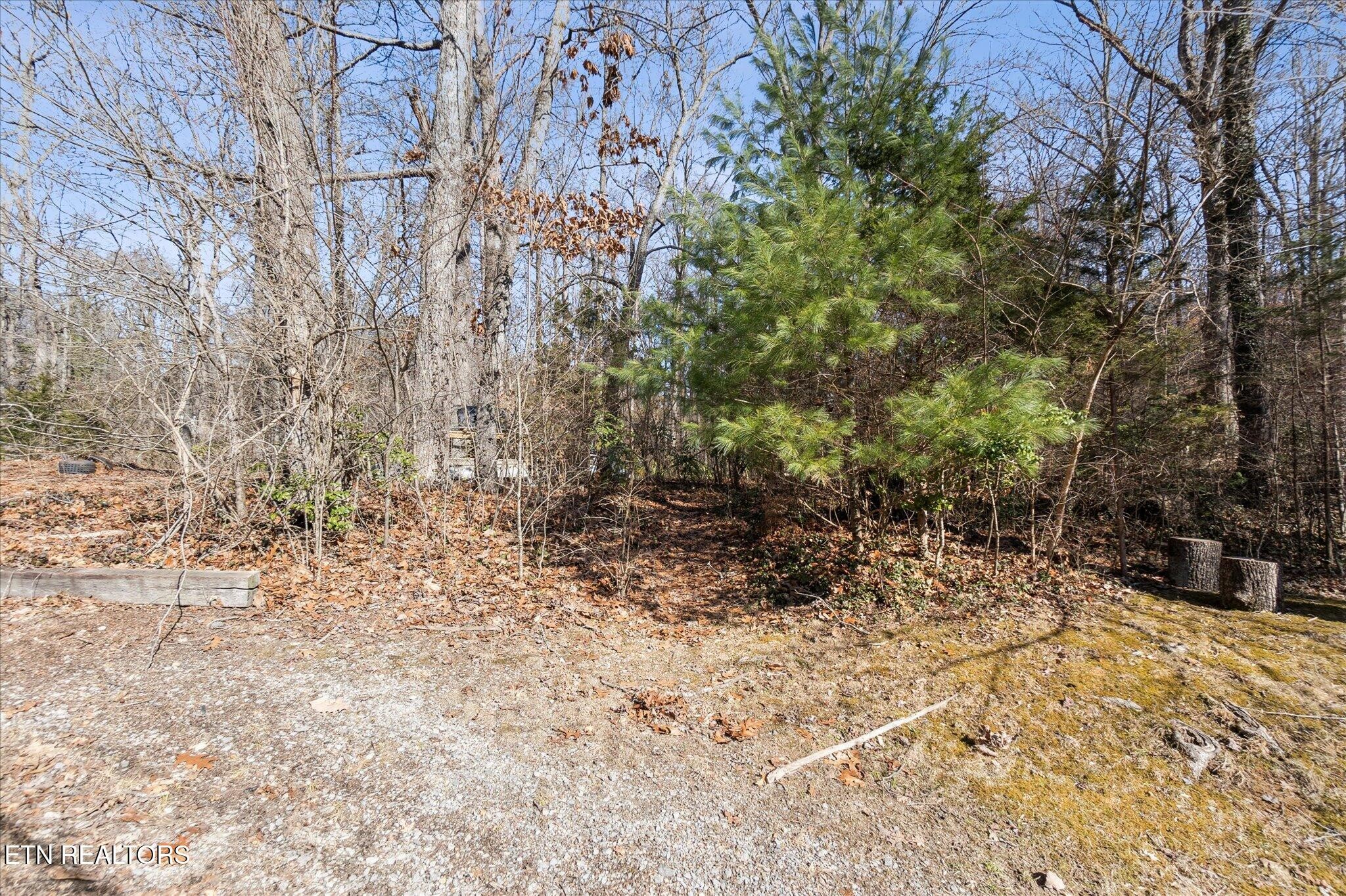 109 Ditman Lane Oak Ridge, TN 37830 - Photo 36 of 37 Gallery Image 36