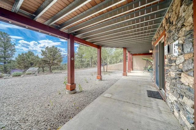 a picture of flowers