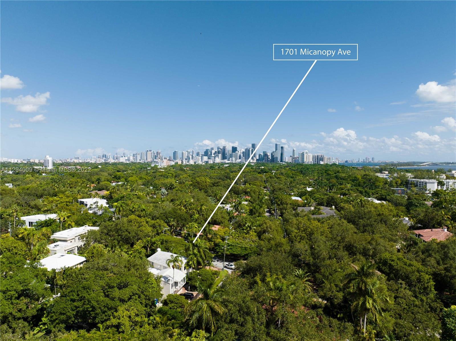 1701 Micanopy Avenue Miami, FL 33133 - Photo 45 of 46 a view of a big yard