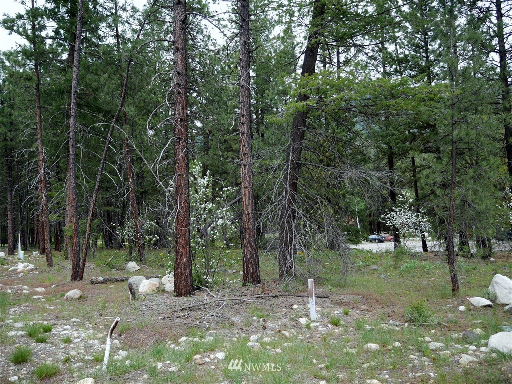 49 Lost River Road Winthrop, WA 98862 - Photo 2 of 8 Gallery Image 2