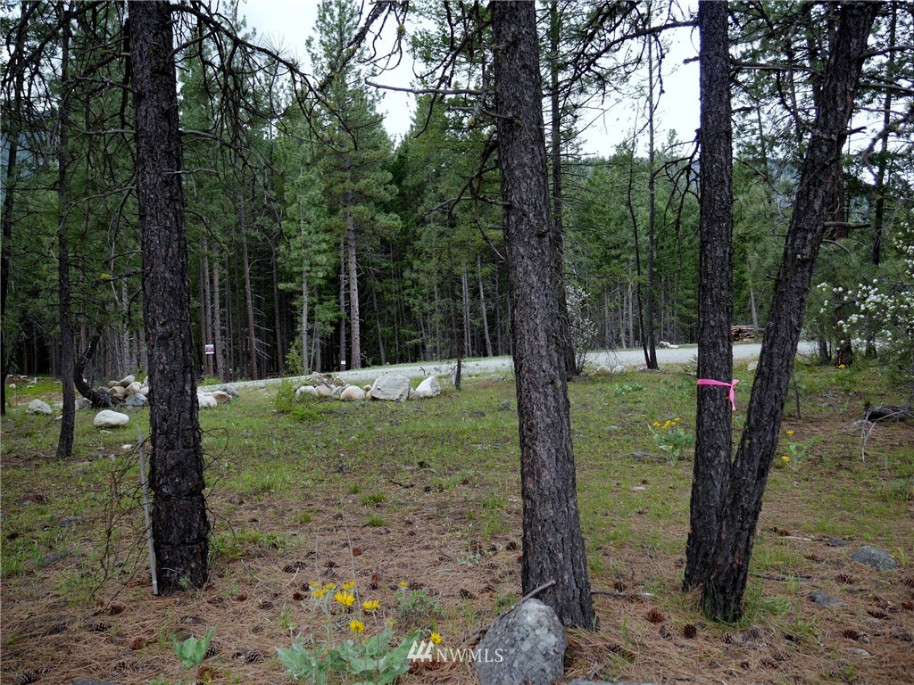49 Lost River Road Winthrop, WA 98862 - Photo 4 of 8 Gallery Image 4