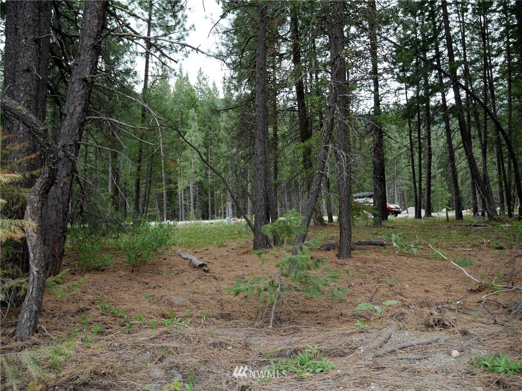 49 Lost River Road Winthrop, WA 98862 - Photo 6 of 8 Gallery Image 6