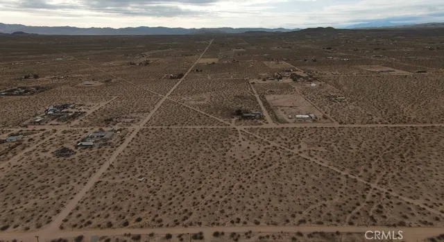 a view of a dry yard
