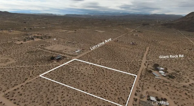 a view of a dry yard with wooden floor