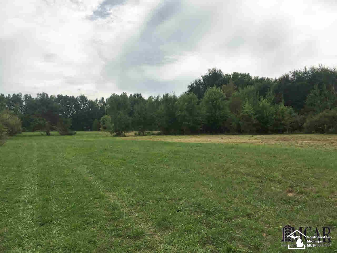 3767 Samaria Road Temperance, MI 48182 - Photo 23 of 30