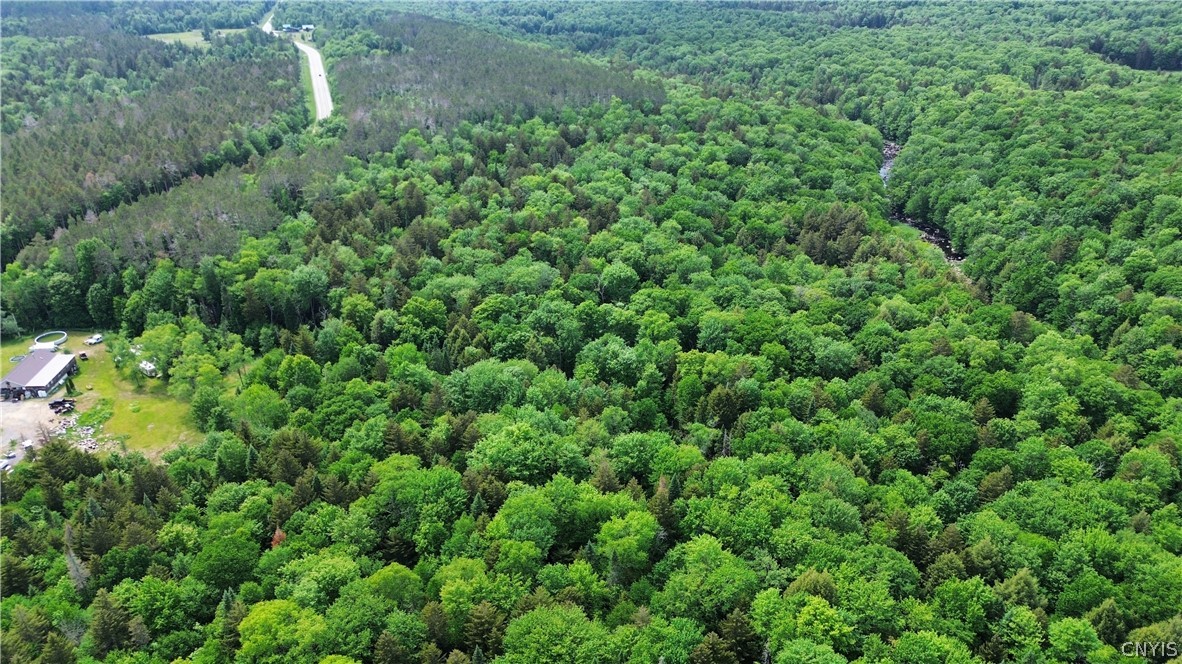 Lot 112 Rt-8 Cold Brook Cold Brook, NY 13324 - Photo 2 of 9