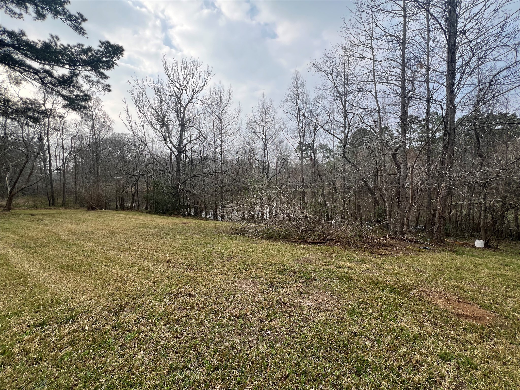 951 Lakeshore Drive Cleveland, TX 77327 - Photo 6 of 10