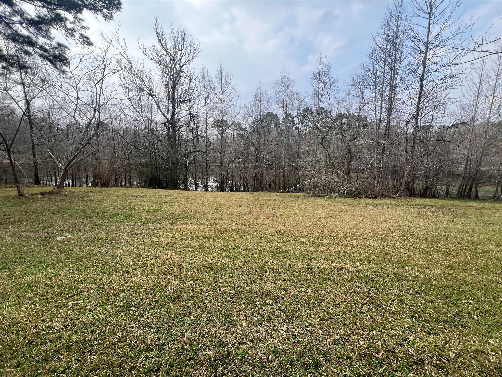 951 Lakeshore Drive Cleveland, TX 77327 - Photo 7 of 10