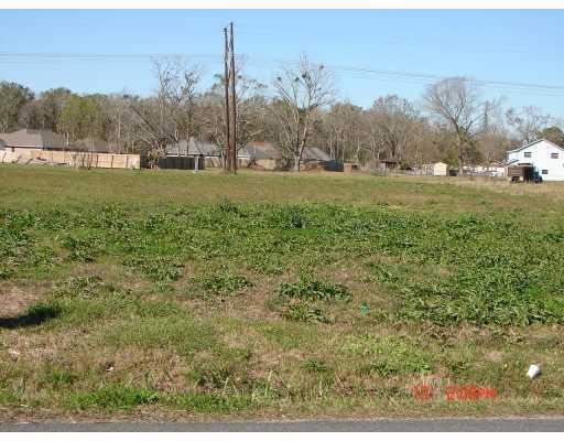 370 Magnolia Ridge Road Boutte, LA 70039 - Photo 1 of 1 Gallery Image 1