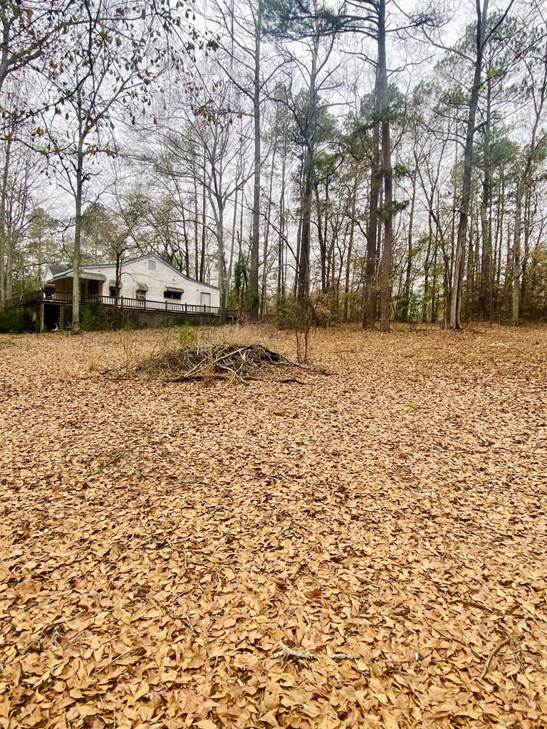 170 Pine Ridge Road Thomson, GA 30824 - Photo 3 of 27
