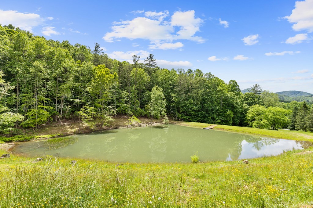 104 Red Twig Road Blairsville, GA 30512 - Photo 38 of 60