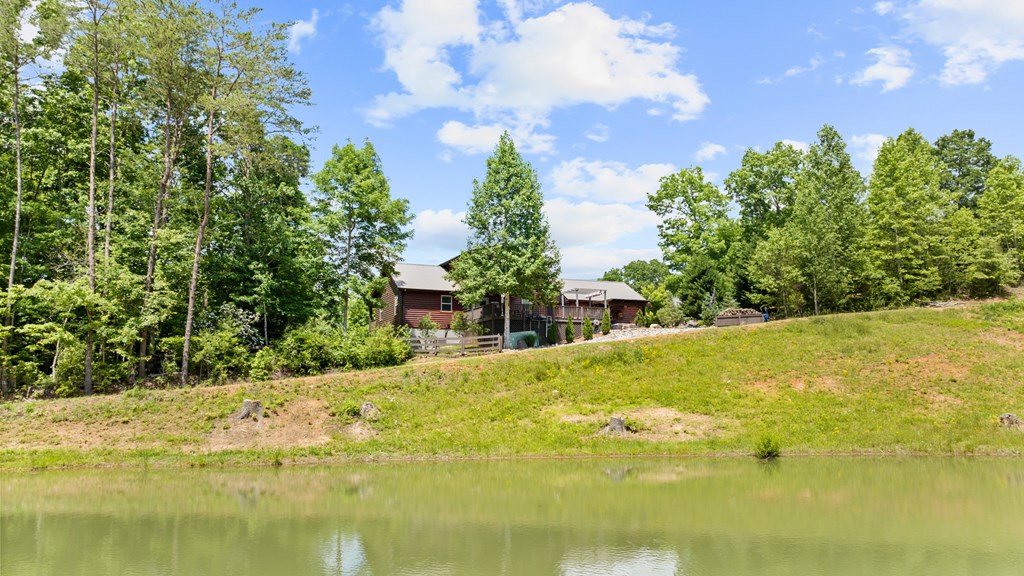 104 Red Twig Road Blairsville, GA 30512 - Photo 6 of 60