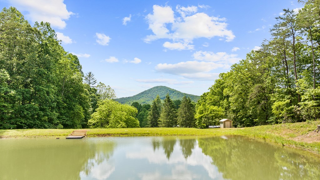 104 Red Twig Road Blairsville, GA 30512 - Photo 7 of 60