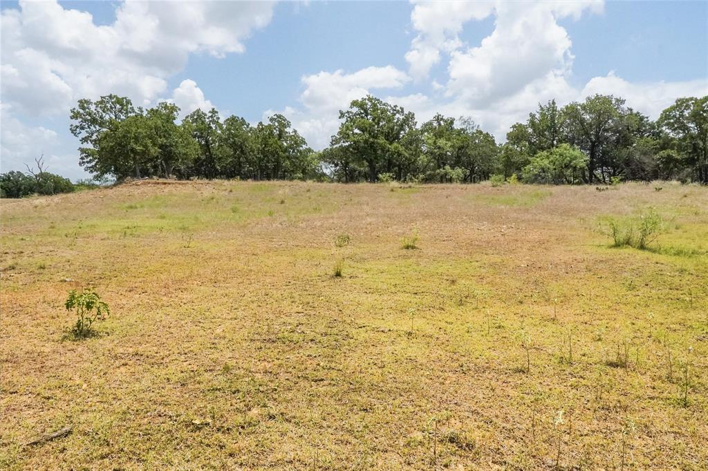 16.5-acres Burwick Road Jacksboro, TX 76458 - Photo 22 of 38