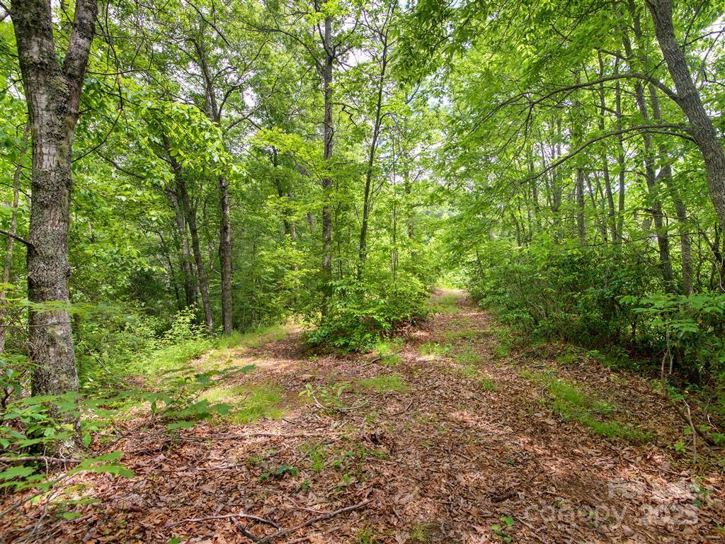 0 Long Winding Road Sylva, NC 28779 - Photo 11 of 46 Gallery Image 11