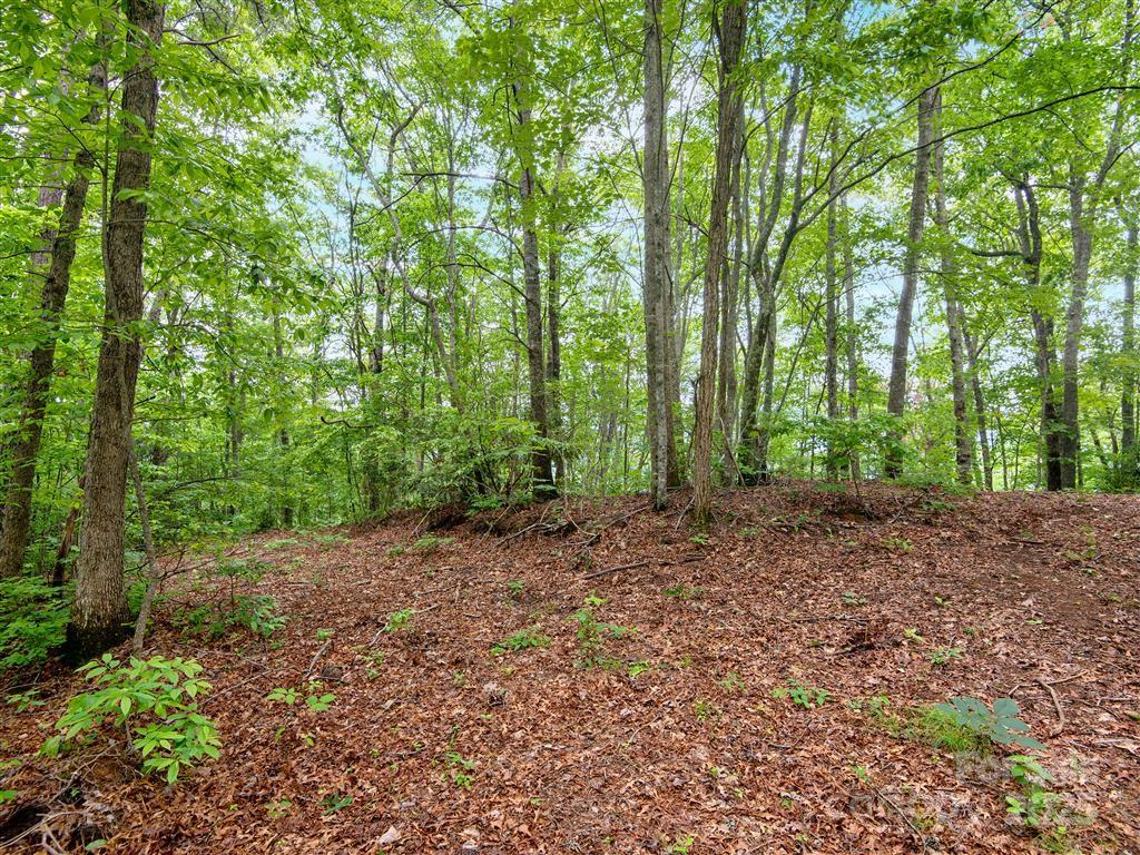 0 Long Winding Road Sylva, NC 28779 - Photo 18 of 46 Gallery Image 18