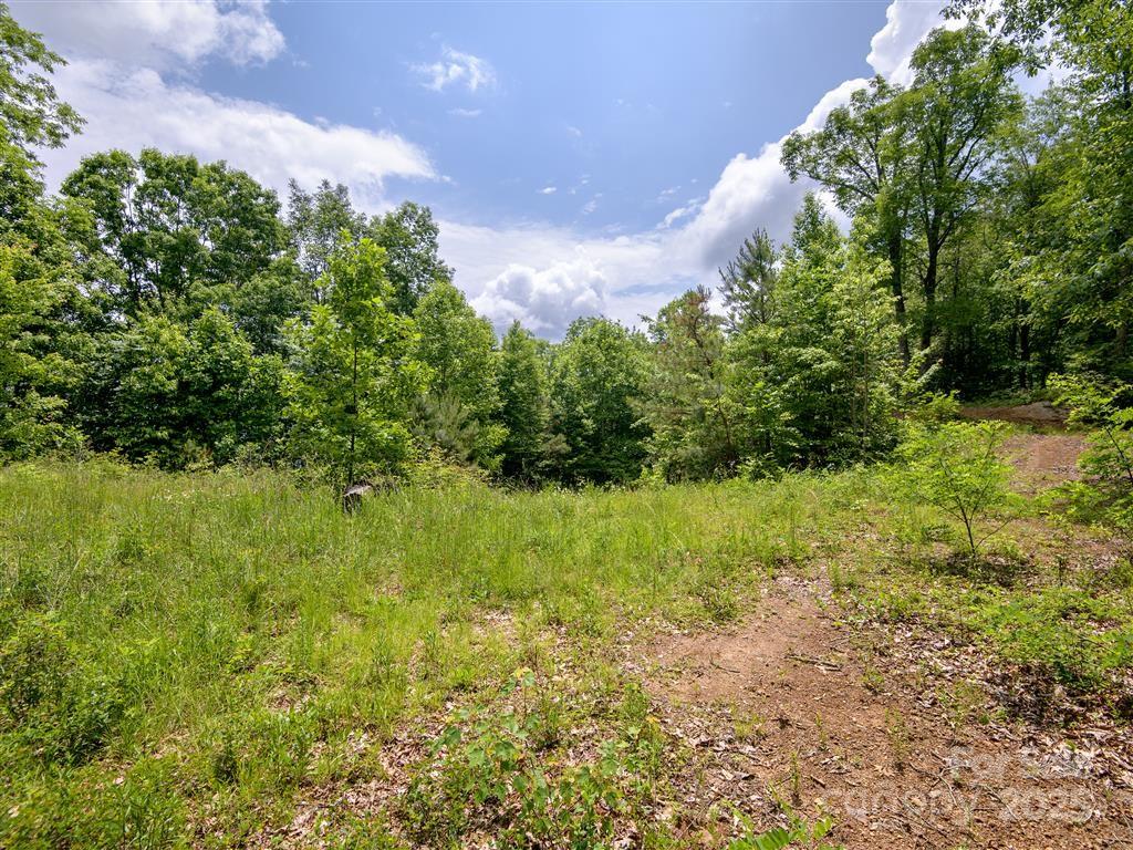 0 Long Winding Road Sylva, NC 28779 - Photo 19 of 46 Gallery Image 19