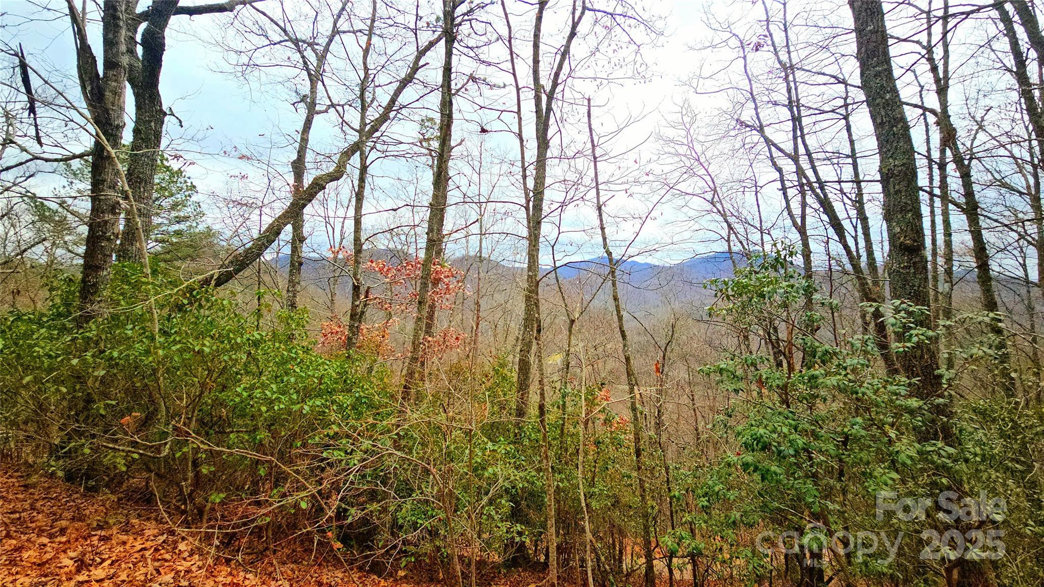 0 Long Winding Road Sylva, NC 28779 - Photo 24 of 46 Gallery Image 24