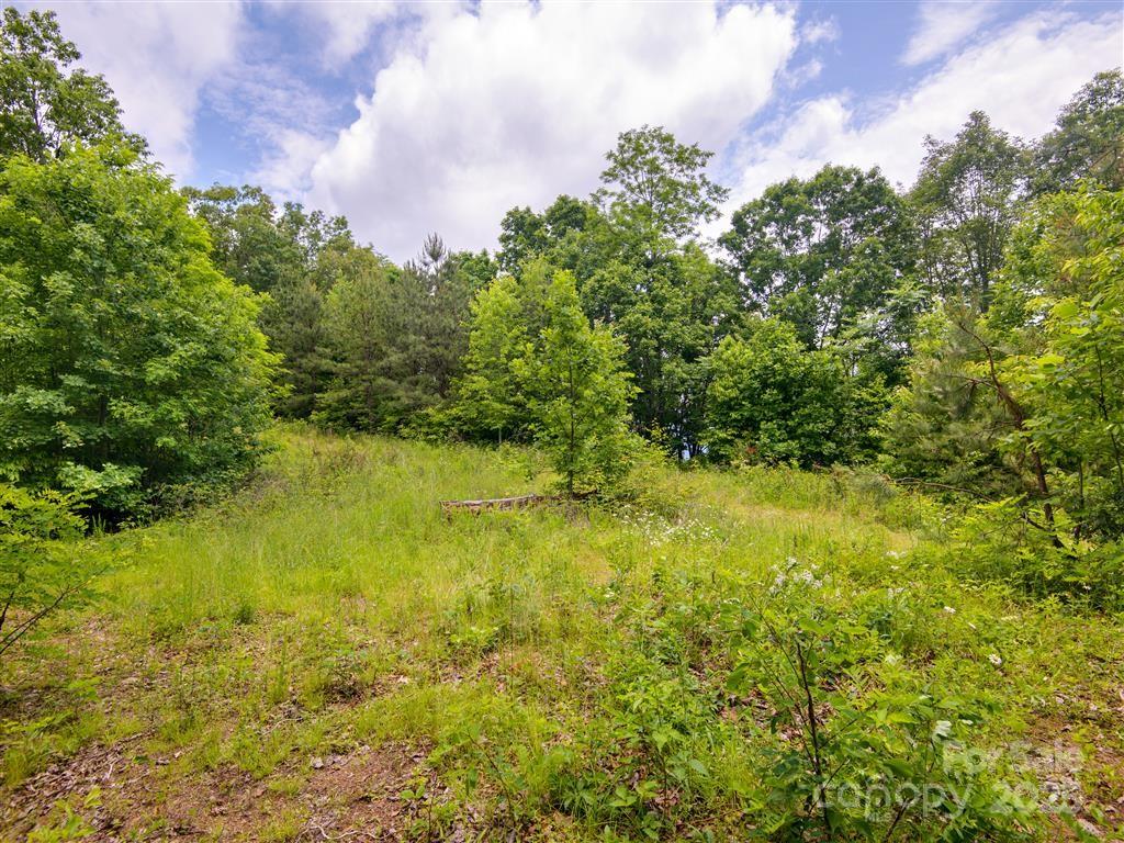 0 Long Winding Road Sylva, NC 28779 - Photo 27 of 46 Gallery Image 27