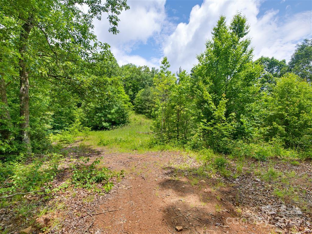 0 Long Winding Road Sylva, NC 28779 - Photo 29 of 46 Gallery Image 29