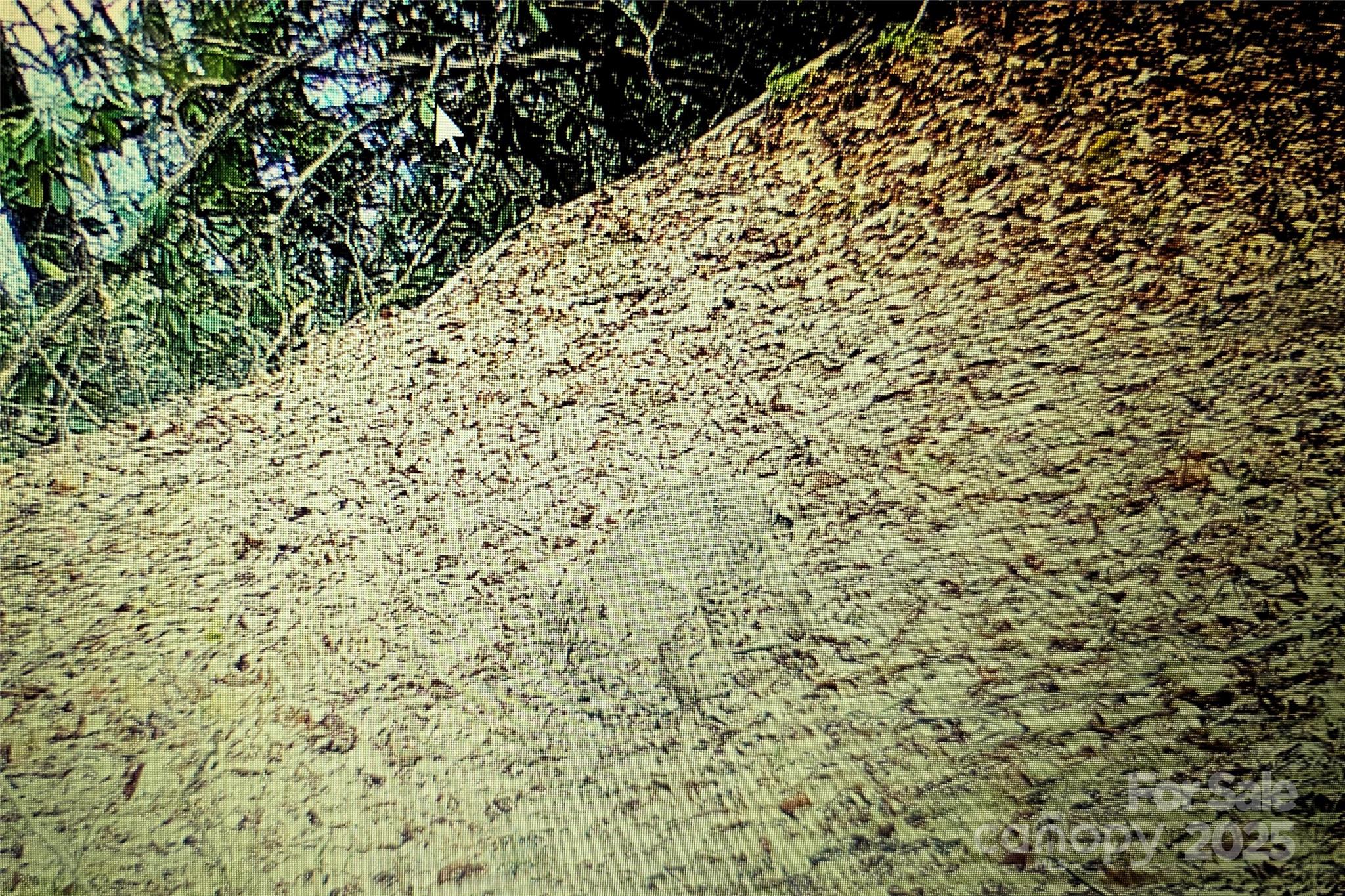0 Long Winding Road Sylva, NC 28779 - Photo 3 of 46 Gallery Image 3