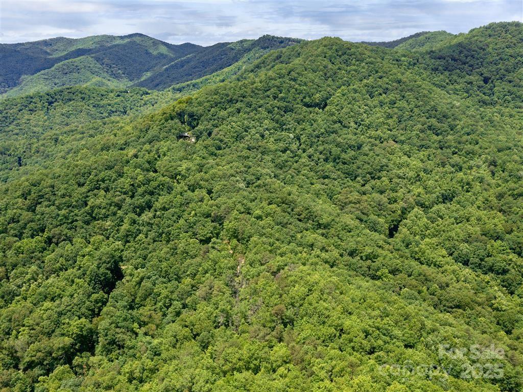 0 Long Winding Road Sylva, NC 28779 - Photo 34 of 46 Gallery Image 34