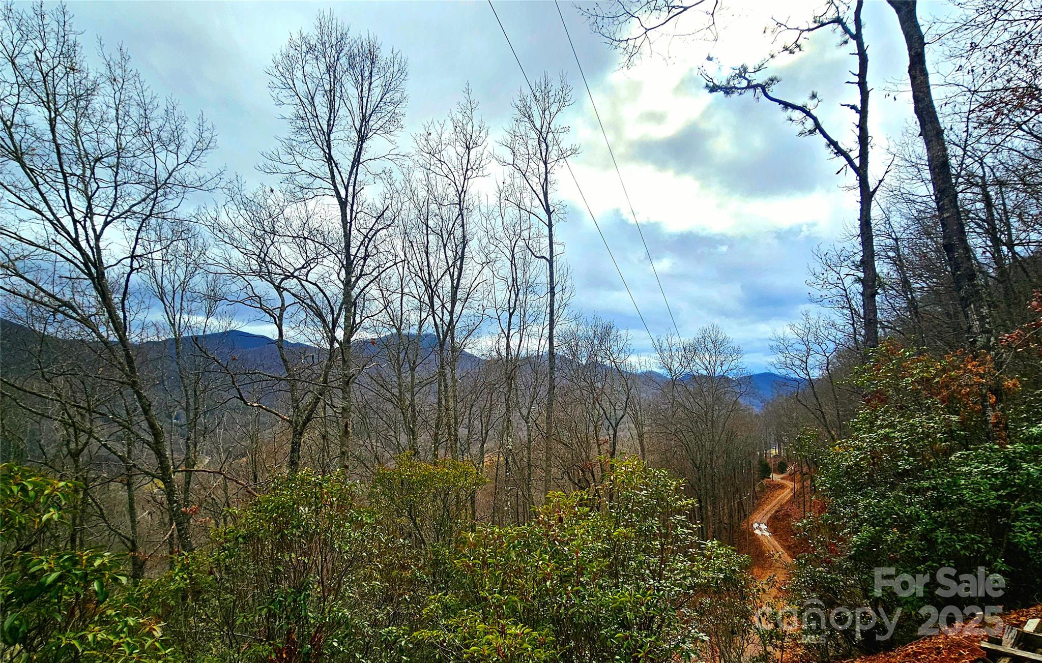 0 Long Winding Road Sylva, NC 28779 - Photo 36 of 46 Gallery Image 36