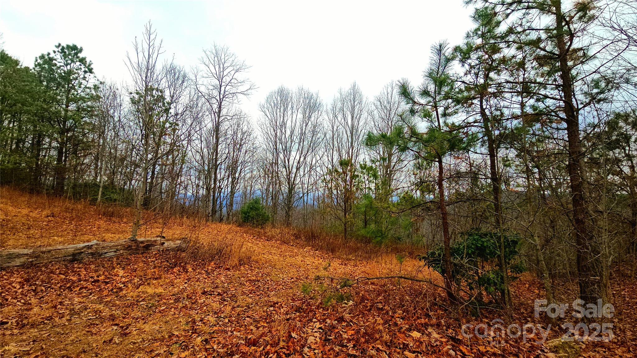 0 Long Winding Road Sylva, NC 28779 - Photo 38 of 46 Gallery Image 38
