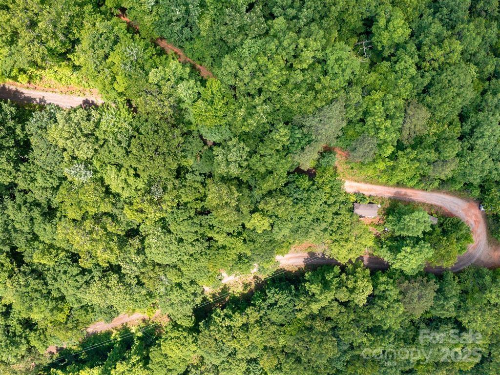 0 Long Winding Road Sylva, NC 28779 - Photo 42 of 46 Gallery Image 42