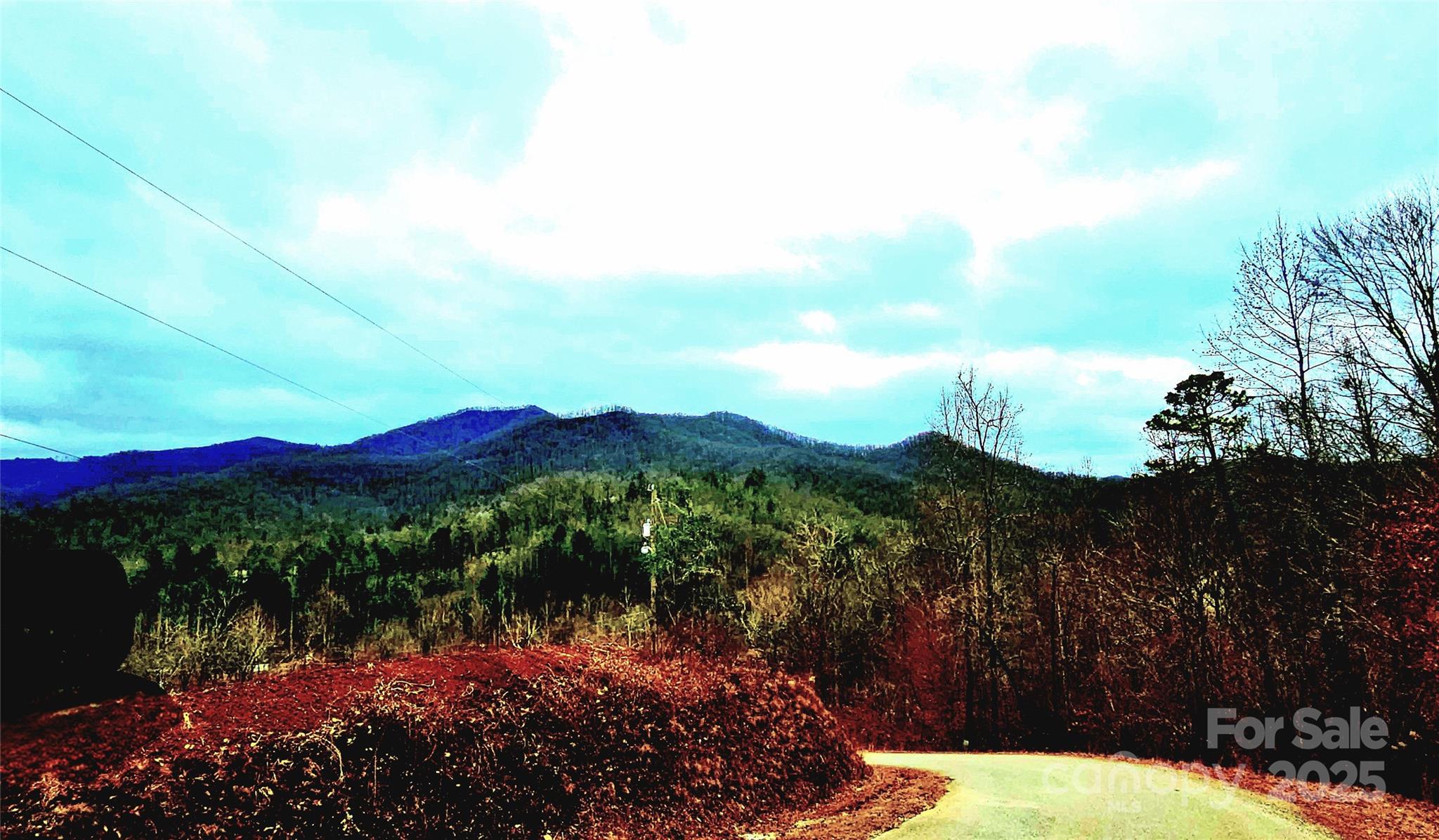 0 Long Winding Road Sylva, NC 28779 - Photo 45 of 46 Gallery Image 45