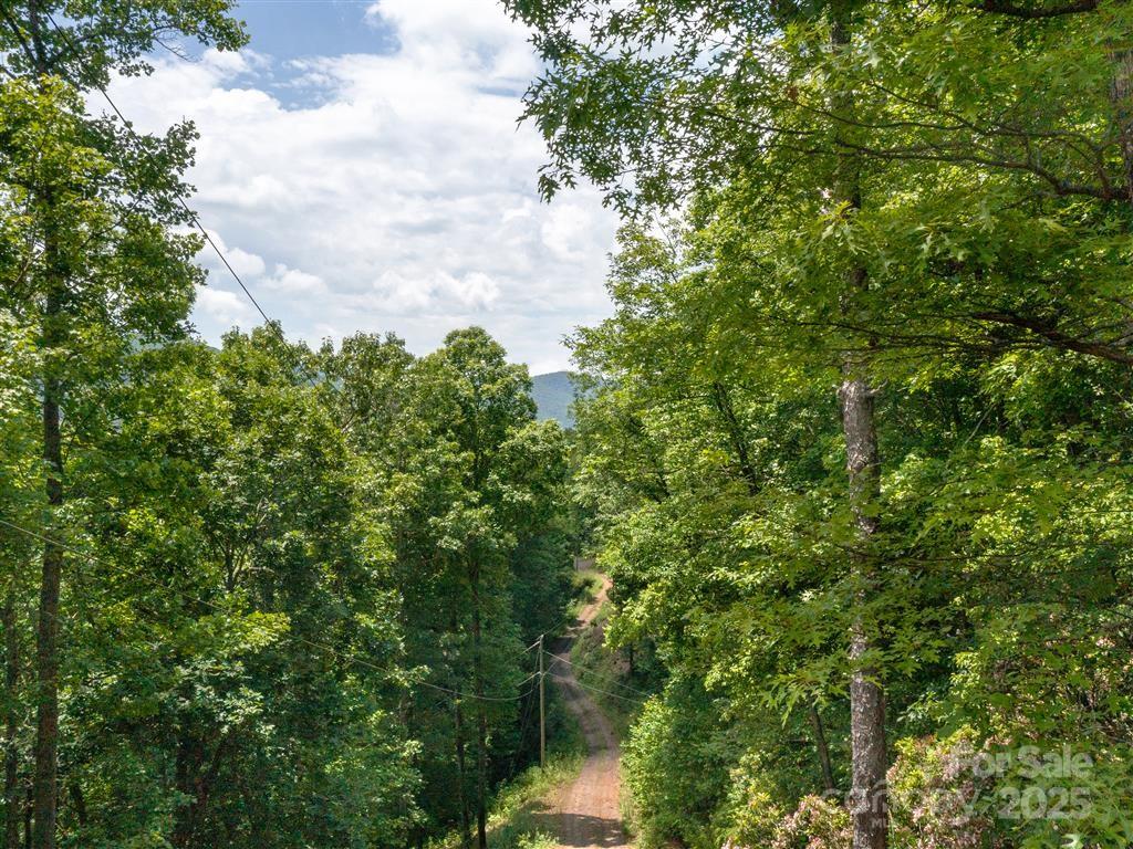 0 Long Winding Road Sylva, NC 28779 - Photo 46 of 46 Gallery Image 46