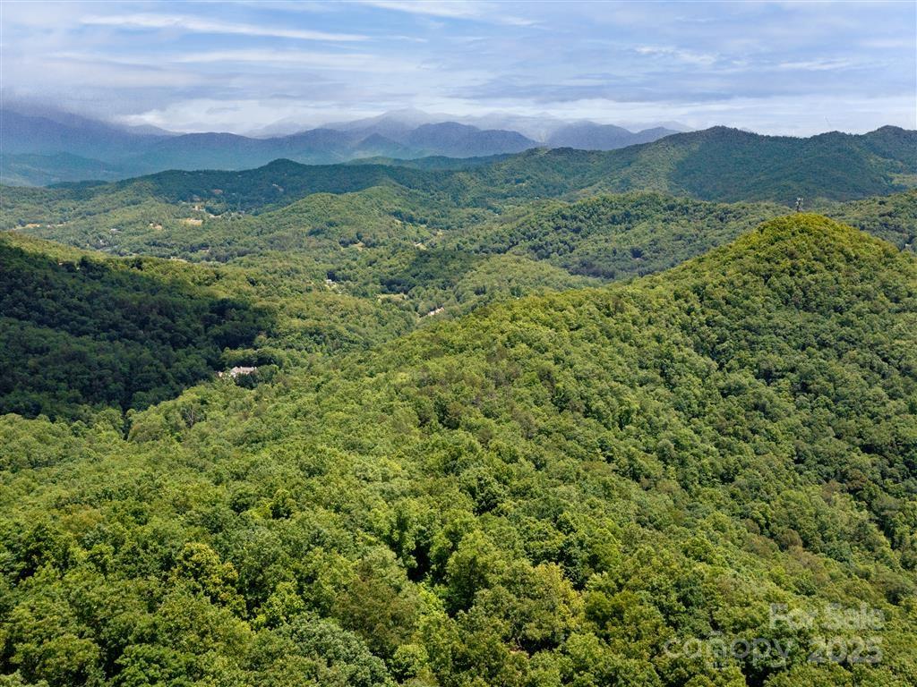 0 Long Winding Road Sylva, NC 28779 - Photo 10 of 46 Gallery Image 10