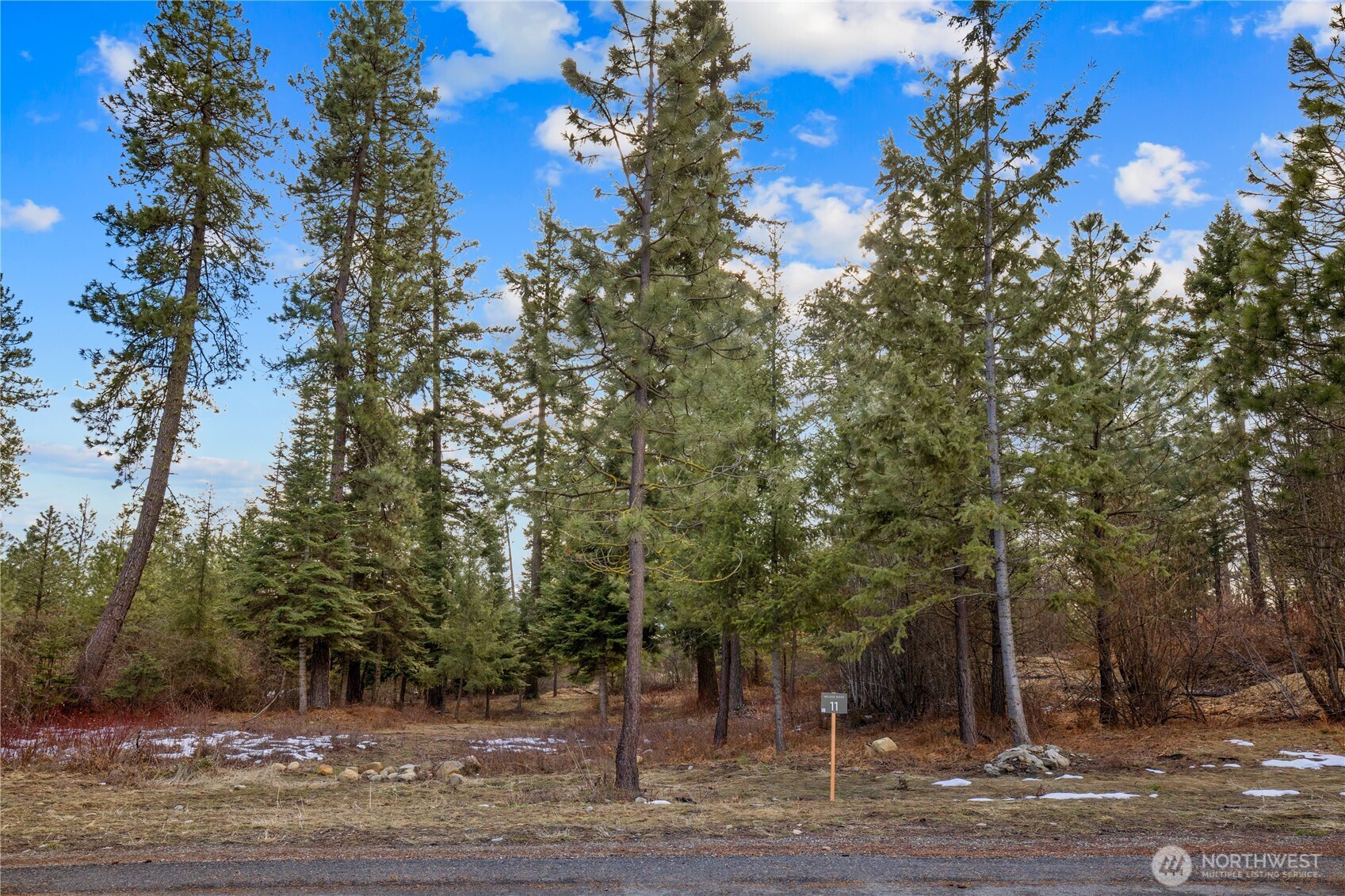 11 Red Sky Way Ronald, WA 98940 - Photo 6 of 12
