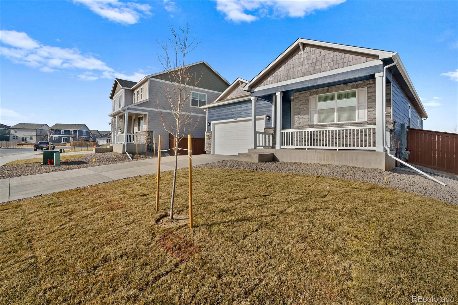 4859 Lynxes Way Johnstown, CO 80534 - Photo 2 of 28
