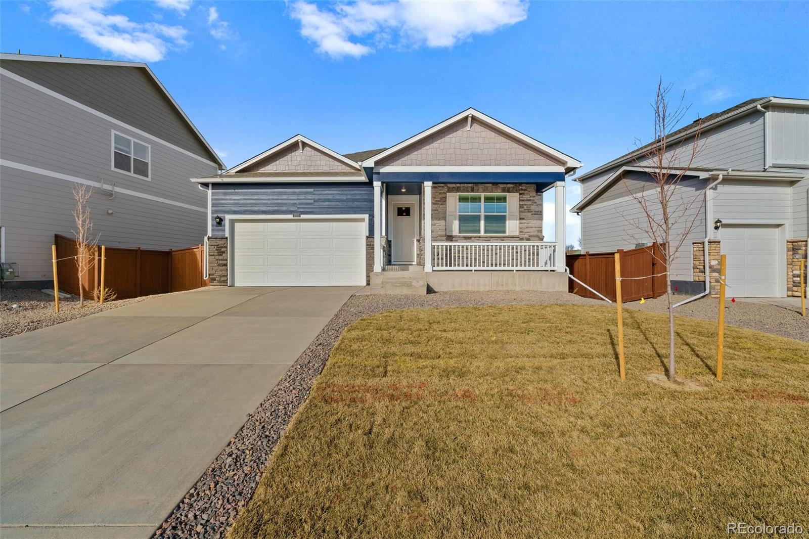4859 Lynxes Way Johnstown, CO 80534 - Photo 4 of 28