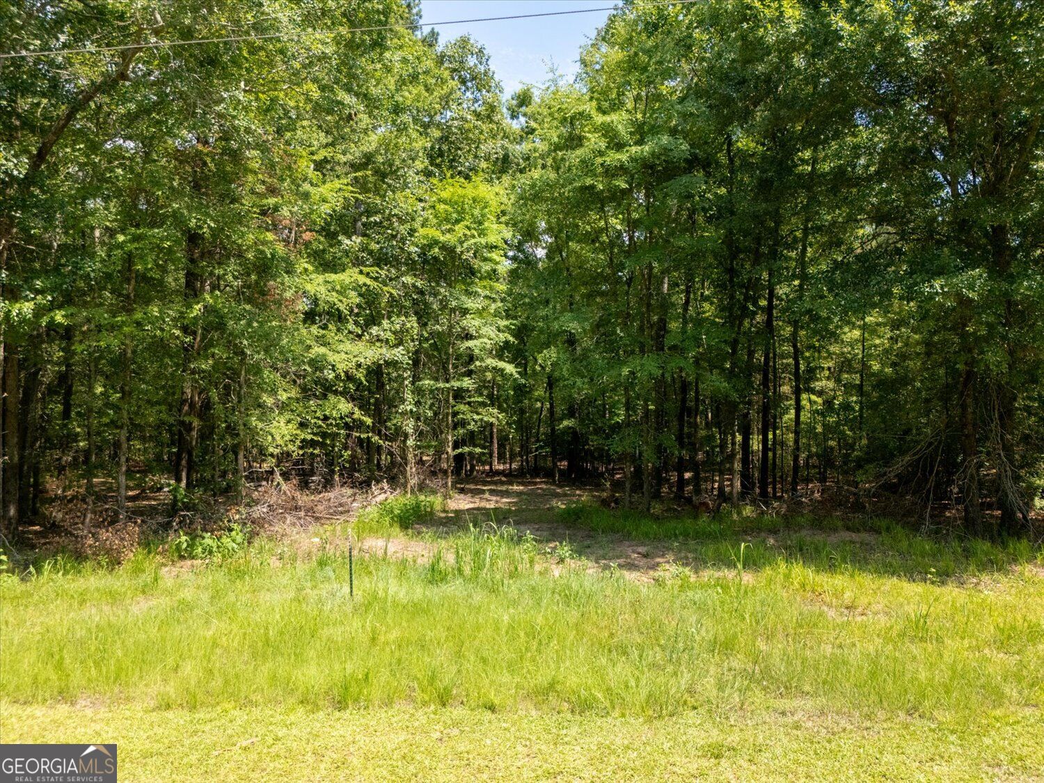 0 Winding Ridge Drive Tignall, GA 30668 - Photo 11 of 19 Gallery Image 11