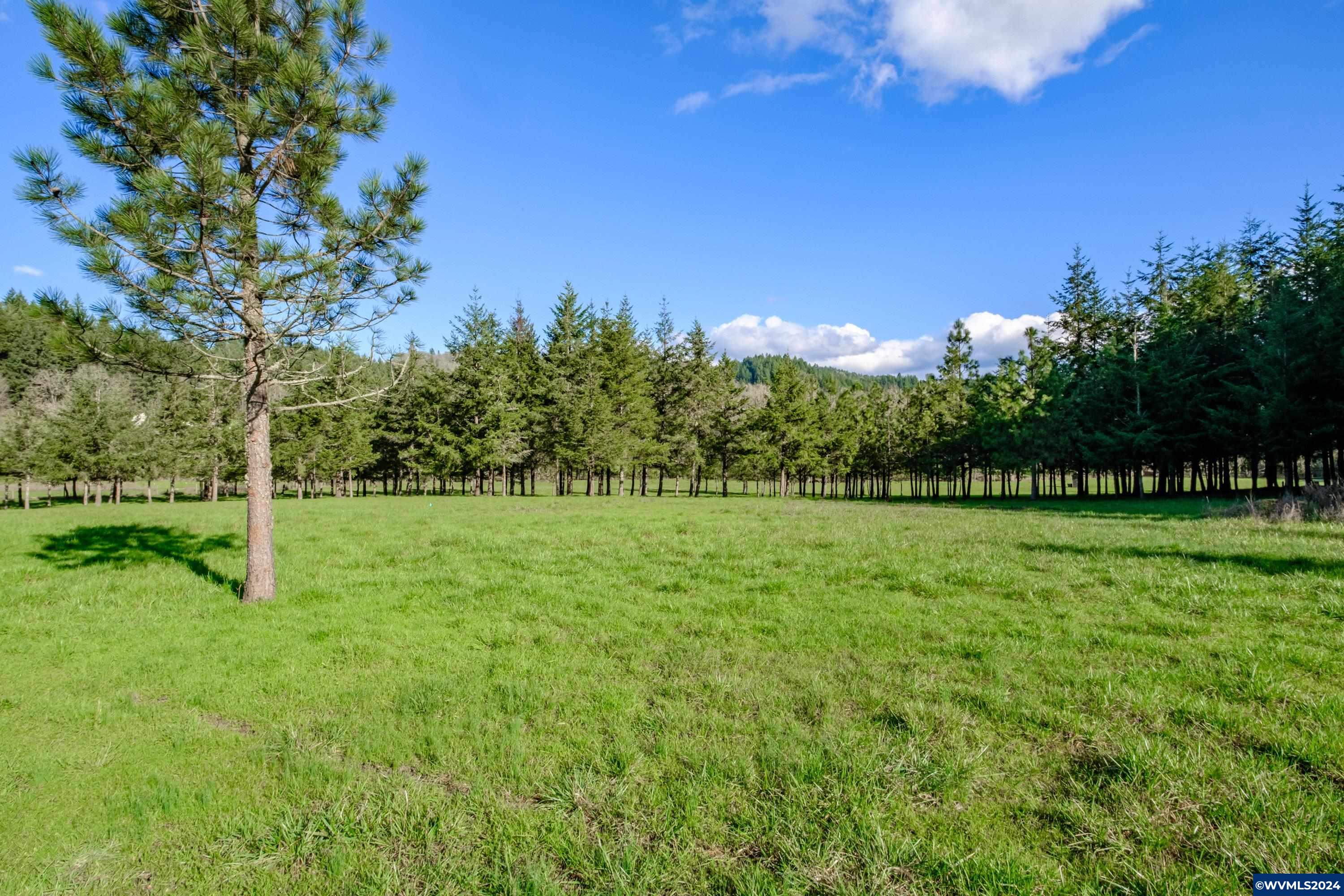 Buck Hill Lane Lebanon, OR 97355 - Photo 25 of 31