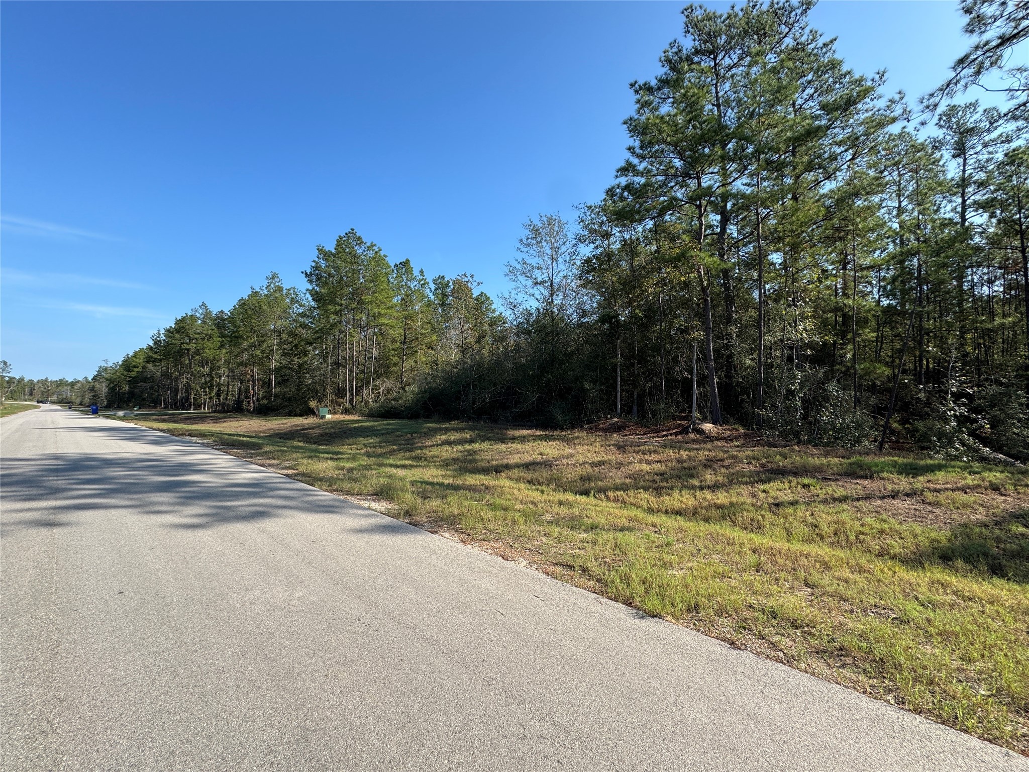 15386 Red Hawk Road Willis, TX 77378 - Photo 7 of 15