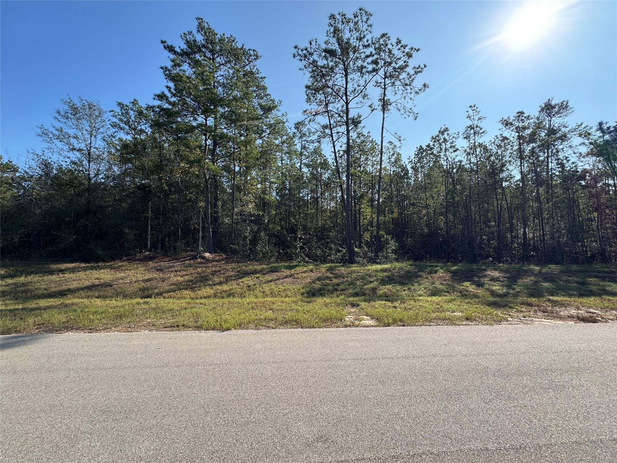 15386 Red Hawk Road Willis, TX 77378 - Photo 8 of 15