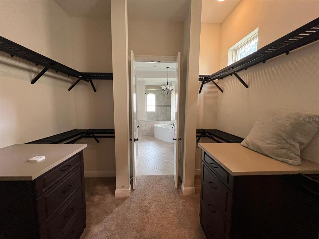 12927 Canopy Woods Way Winter Garden, FL 34787 - Photo 15 of 41 a view of bathroom