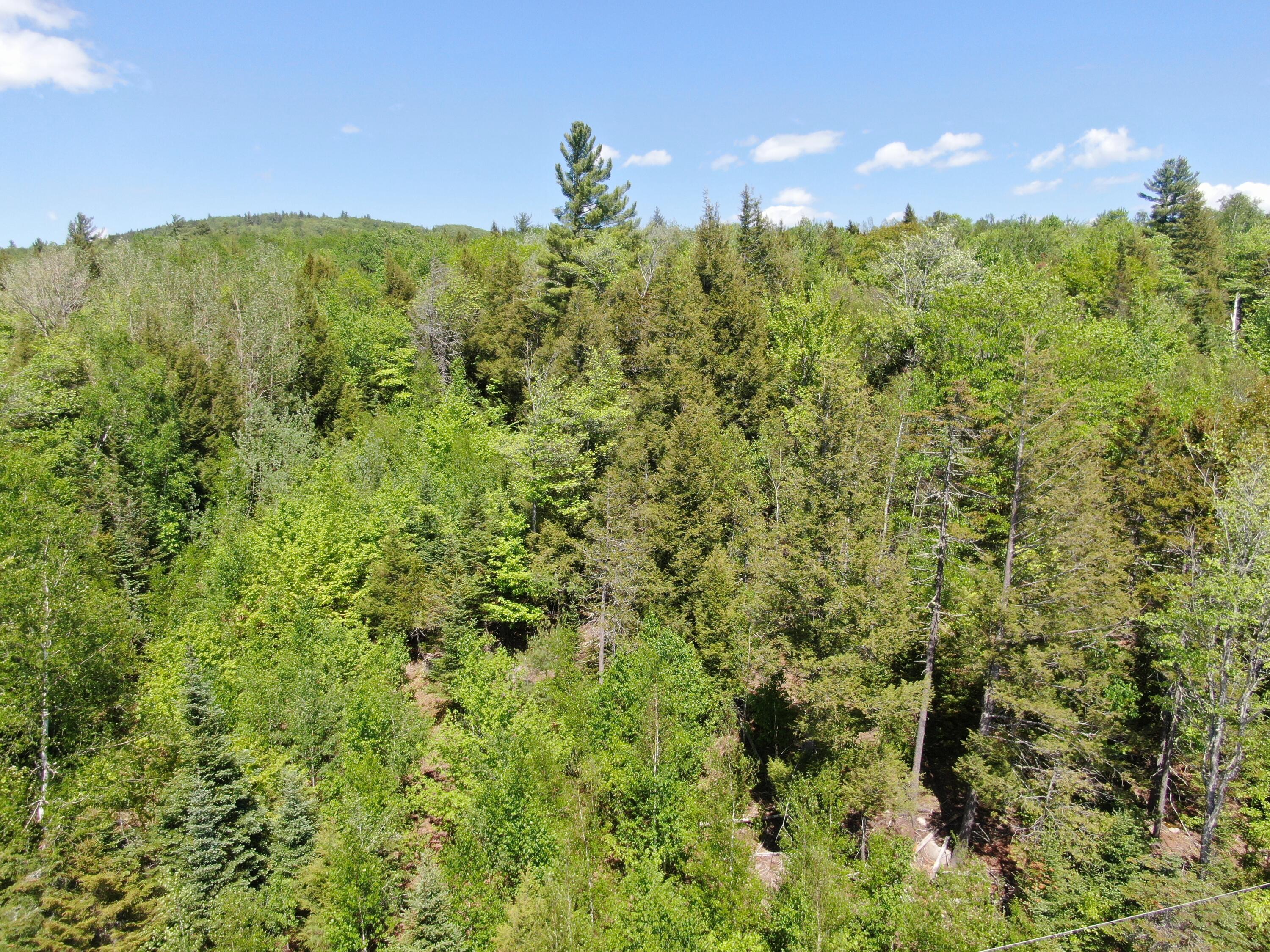 Lot 3 Thundersnow Road Bethel, ME 04217 - Photo 8 of 13 DJI_0504