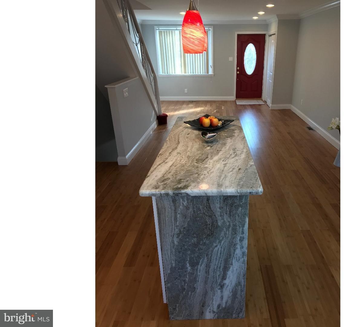 8663 Rugby Street Philadelphia, PA 19150 - Photo 7 of 25 Gallery Image 7
