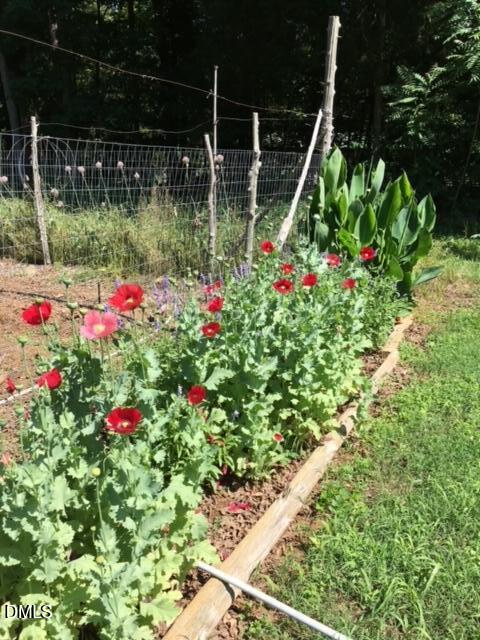 546 Oak Hill Road Pittsboro, NC 27312 - Photo 8 of 66 AE391CD7-7D50-43F4-8104-4446FBCE4FDF