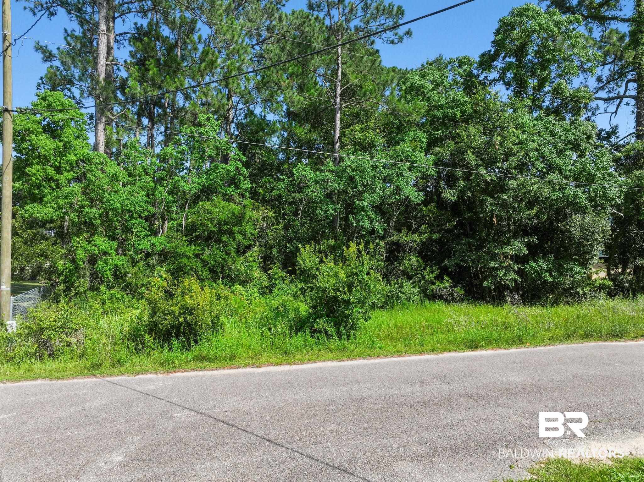 0 Delta Port Boulevard Coden, AL 36523 - Photo 15 of 16
