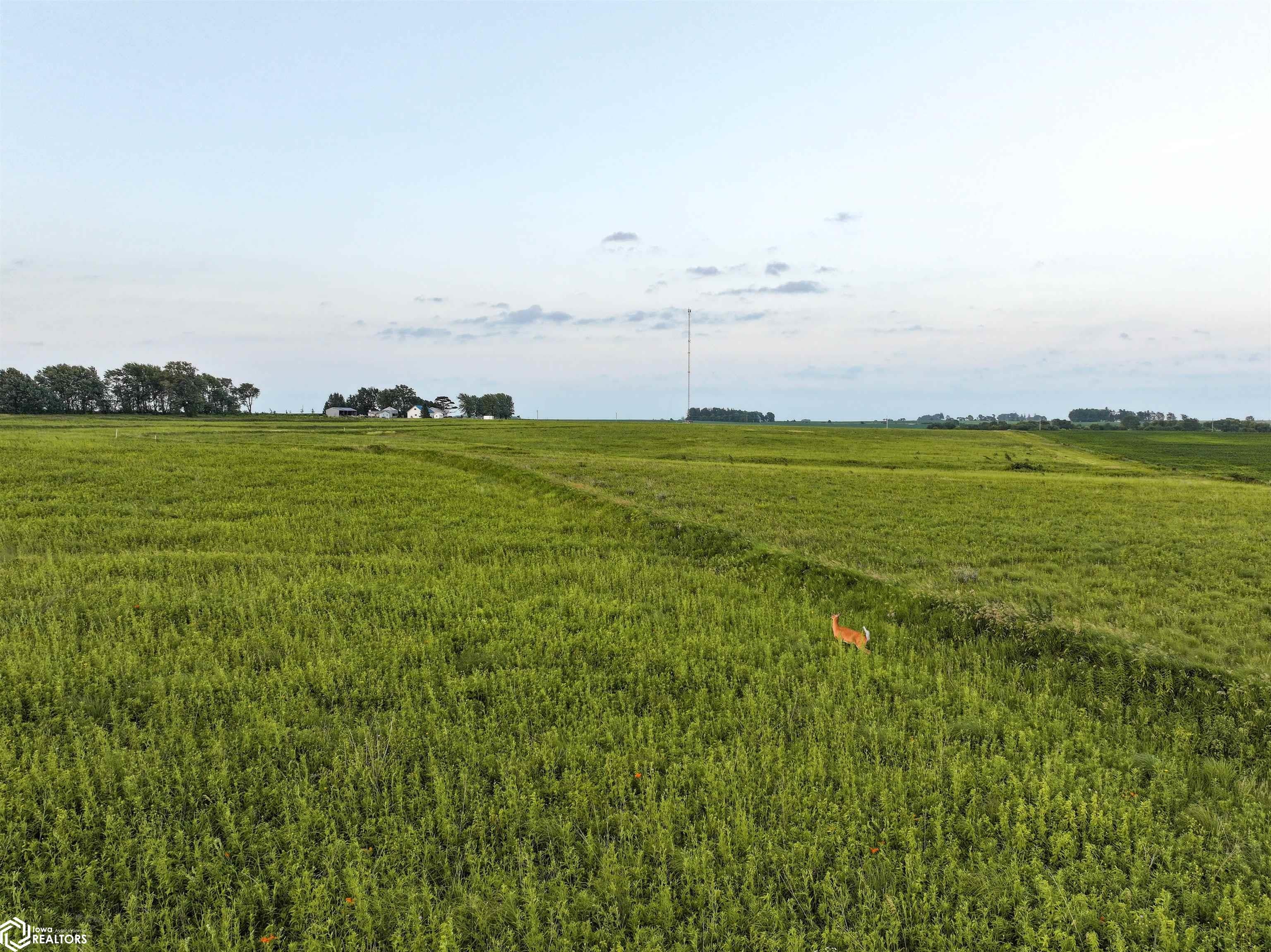Outer Road Oelwein, IA 50662 - Photo 24 of 28 Gallery Image 24